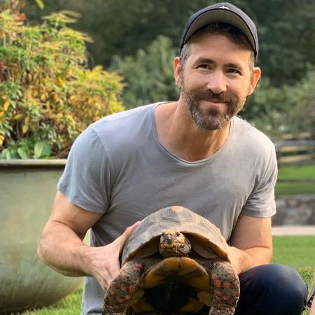 Ryan Reynolds holding a tortoise